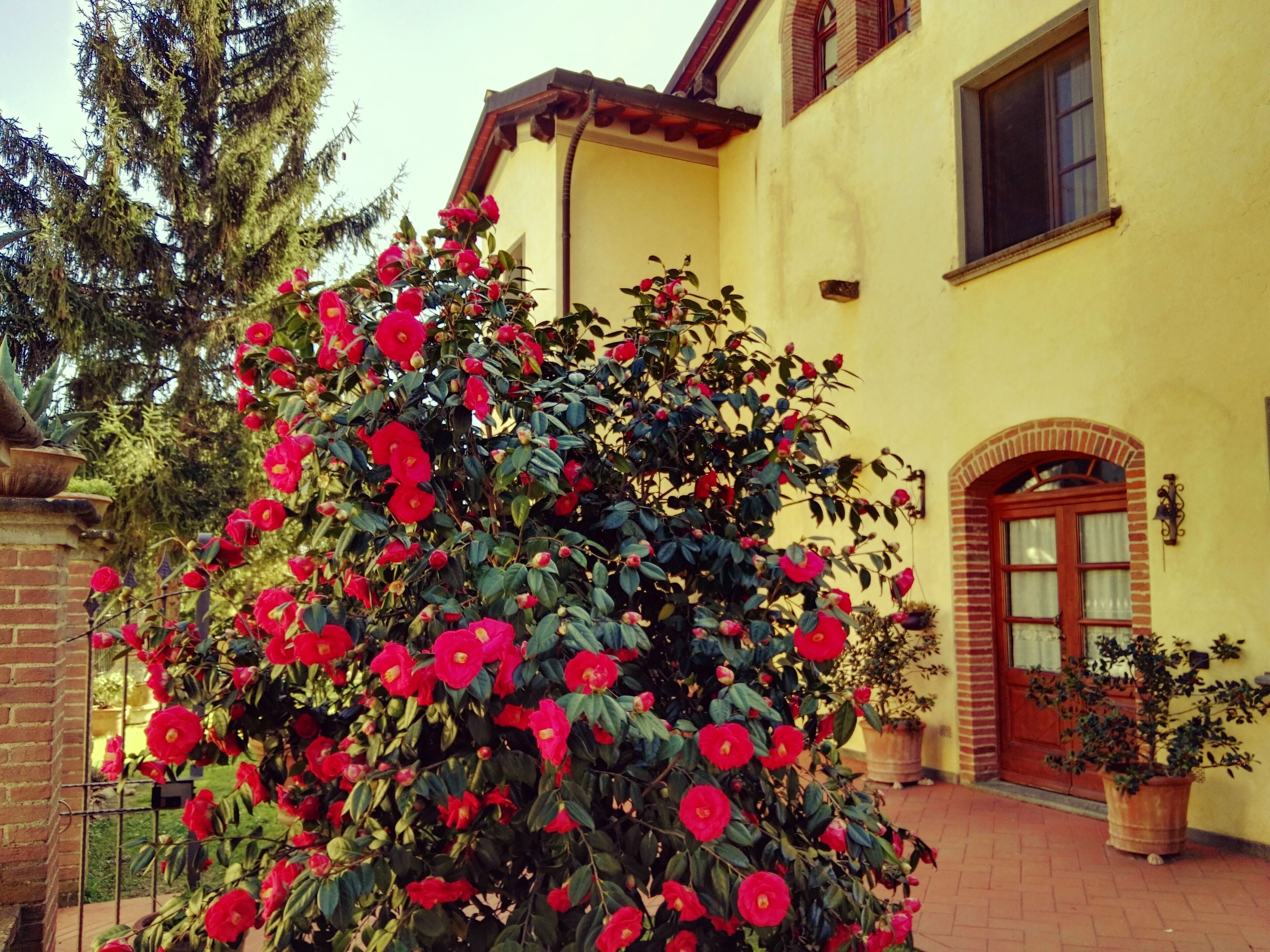 country inns - 6 bedrooms - 6/22 persons