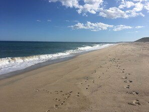 Camastros y toallas de playa 