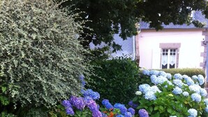 Un jardin avec un chemin de pierres, différentes plantes et des hortensias dans des tons de bleu et de violet.