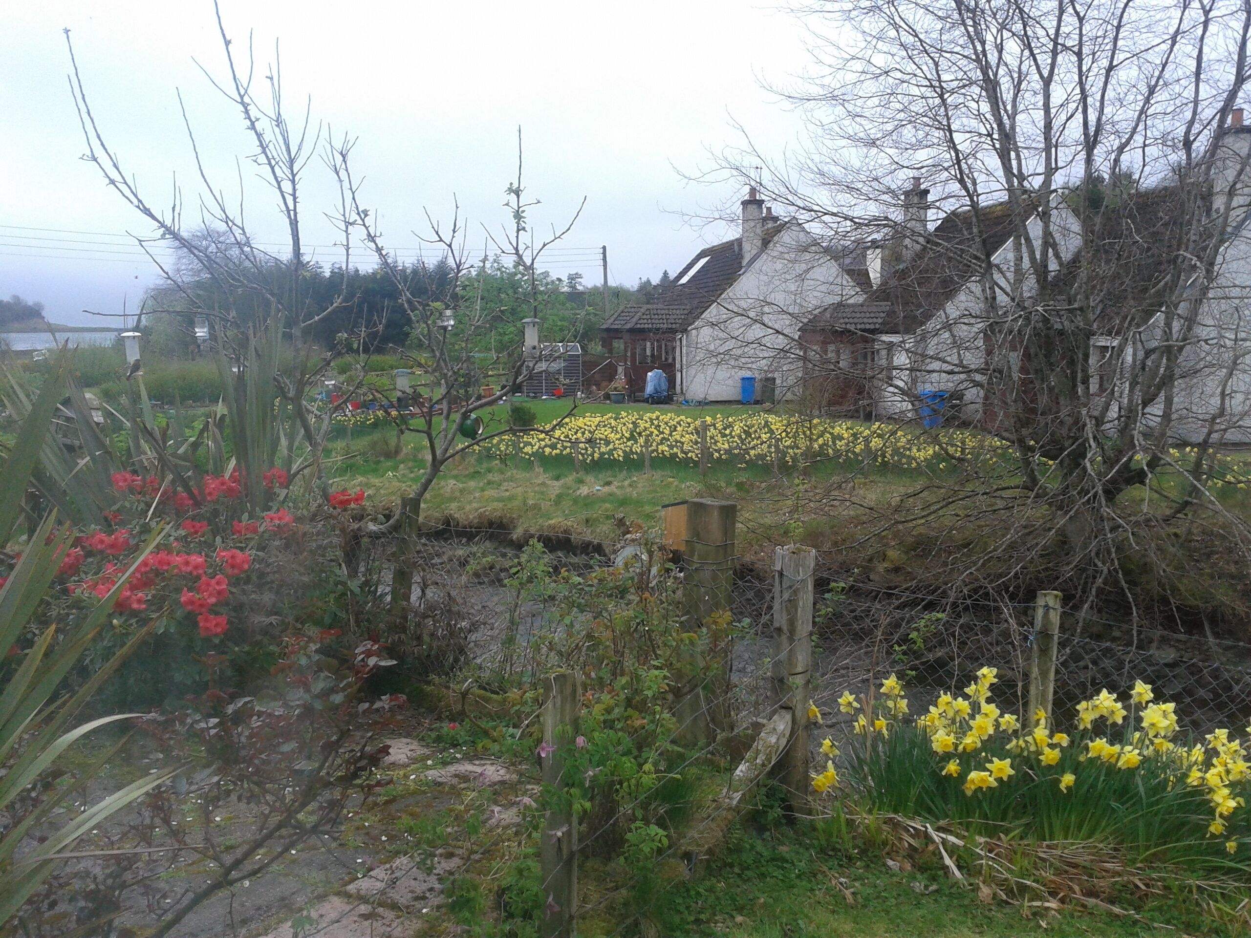 Sitting room view