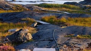 Eine felsige Landschaft mit einem hölzernen Steg, der zum Wasser führt.