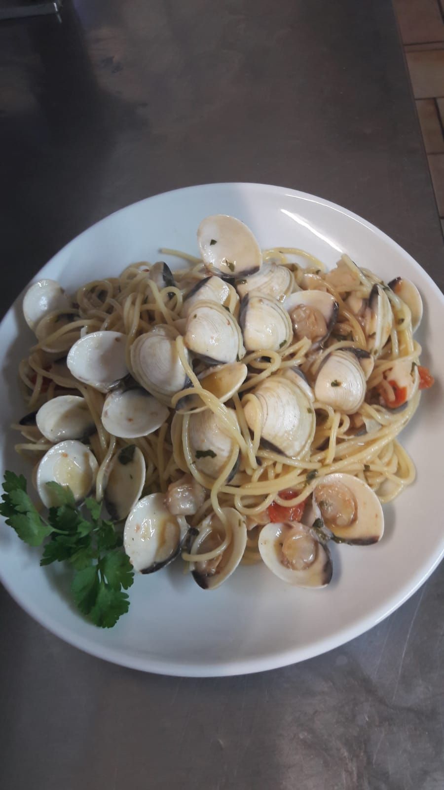 A plate of pasta with clams and a garnish of parsley.