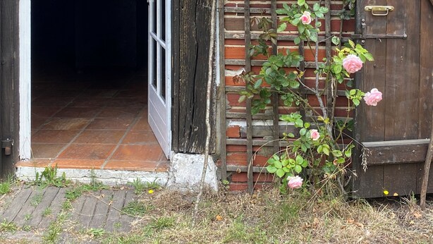 Un edificio rustico in legno con una porta socchiusa e un roseto rampicante.