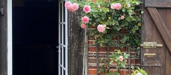 MAISON LANDAISE DE CHARME DANS UN MAGNIFIQUE AIRIAL/ 16 couchages