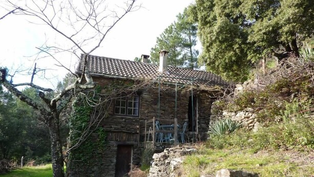 Una casa de piedra con techo de tejas, rodeada de árboles y vegetación.