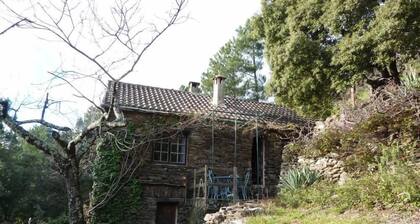 Restored sheepfold in the Cévennes