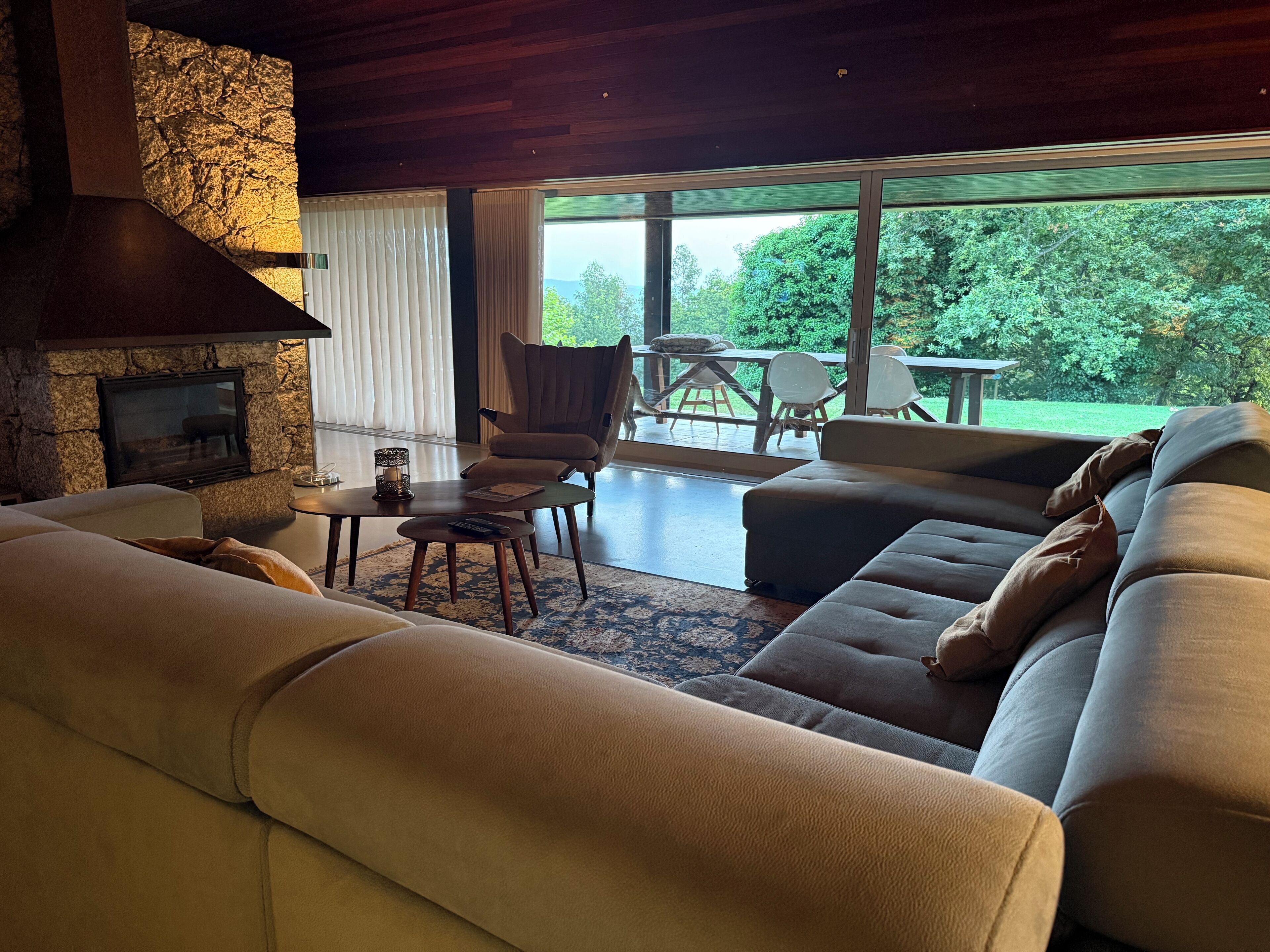 Télévision, cheminée, jeux vidéo, lecteur de DVD