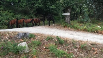 Overnatningsstedets område
