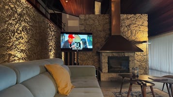 Télévision, cheminée, jeux vidéo, lecteur de DVD