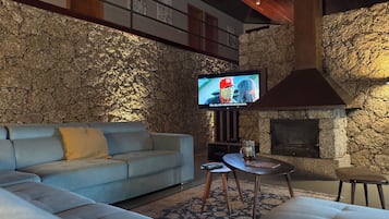 Télévision, cheminée, jeux vidéo, lecteur de DVD