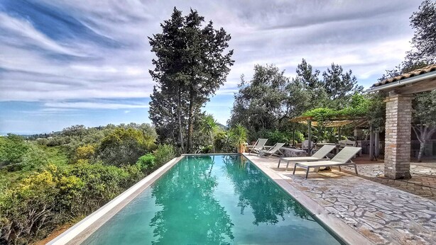 Una piscina rectangular con agua cristalina, rodeada de baldosas de piedra y abundante vegetación.