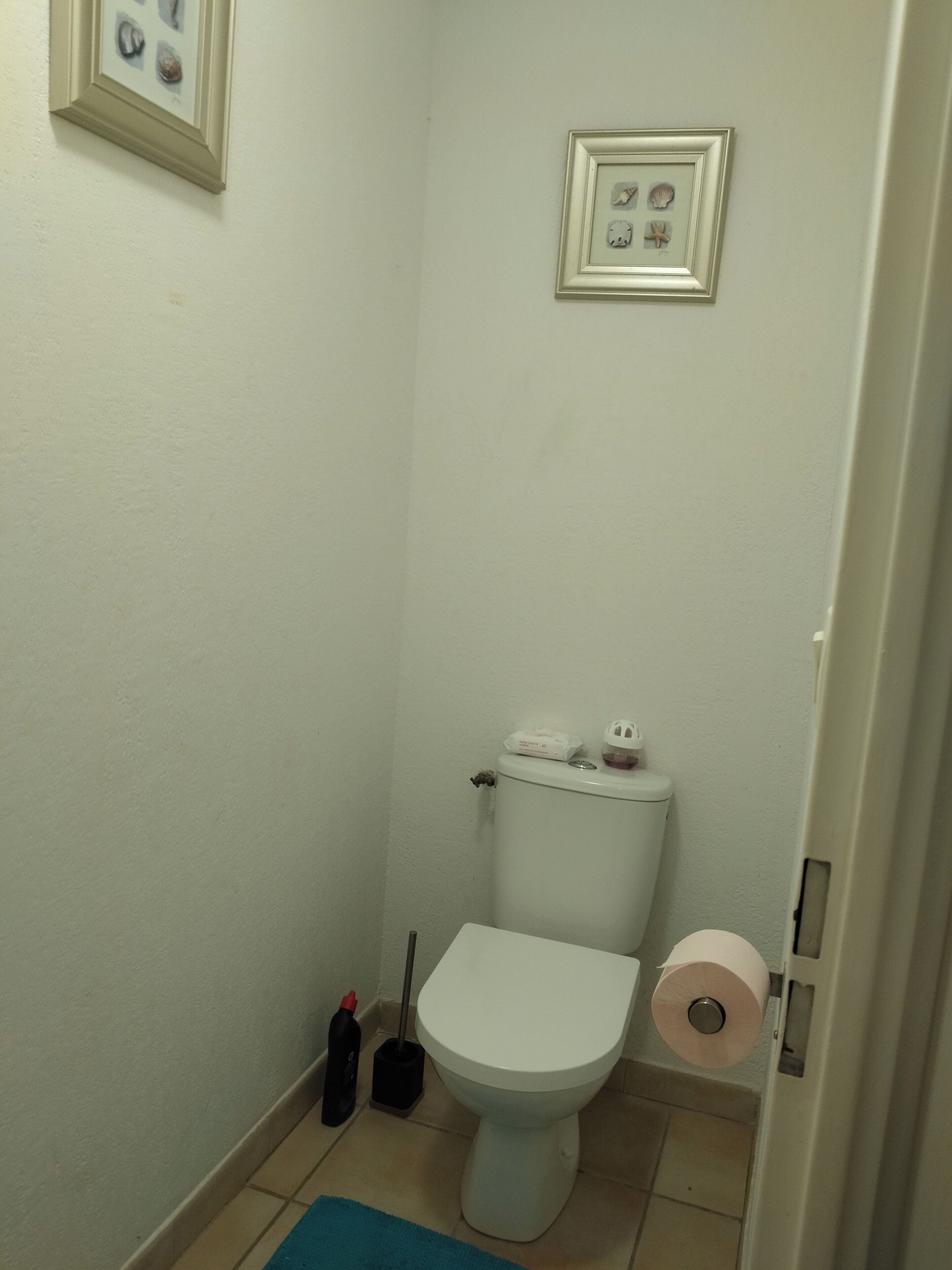 Une petite salle de bain avec des toilettes, un tapis bleu, une ventouse et un porte-rouleau de papier toilette.