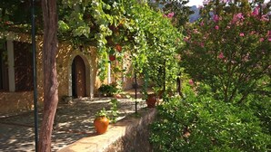A courtyard with a stone wall, a wooden door, and potted plants. - Bella Vista.
ETV /1070 BELLA VISTA. (Sóller ,Biniaraix .)