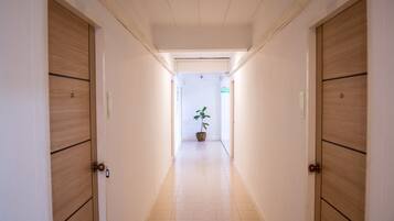 A hallway with wooden doors on either side, a potted plant in the center, and a light fixture on the ceiling.