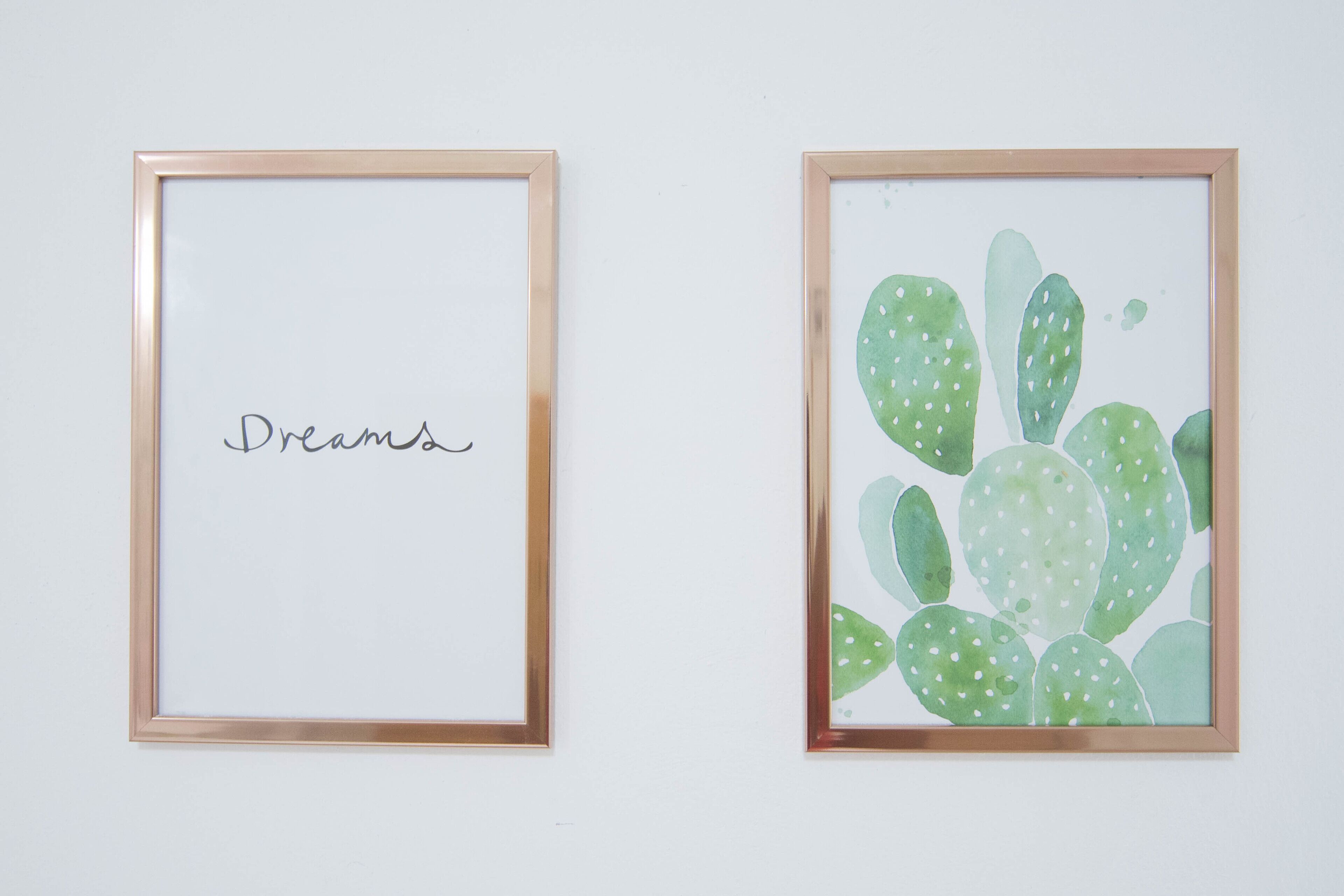 Two framed artworks on a wall: one with the word 'Dreams' and another with a cactus pattern.