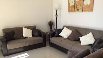 Télévision, lecteur de DVD, livres