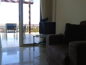 TV, DVD player, books