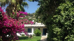 A pathway leading to a white building with blue shutters, surrounded by lush greenery and vibrant pink bougainvillea flowers. - Aeolian Island Villa-Detached villa LIPARI, private pool with stunning sea view (Lipari)