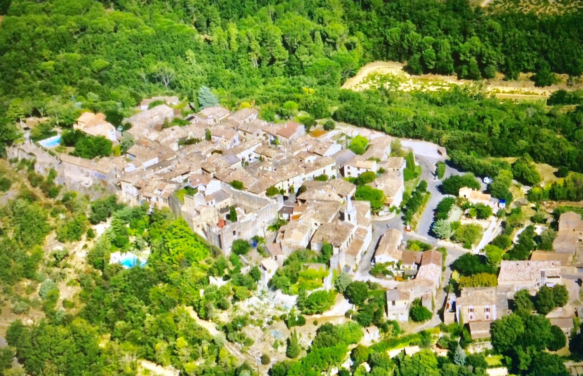 Aerial view