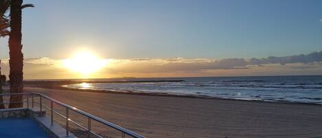 A beach with a sunset, palm trees, and a railing.