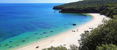 Plage à proximité, chaises longues