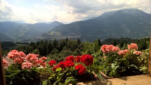 A garden with pink and red flowers in the foreground, a wooden deck, and a mountainous landscape in the background.