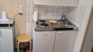 Studio, en-suite badkamer (-Zweier) | Privékeuken | Een koelkast met diepvriezer, een microgolfoven, een oven