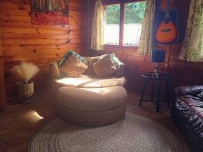 Smart TV, fireplace, DVD player, books