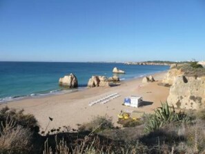 Plage à proximité, chaises longues, serviettes de plage