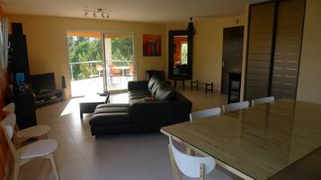 Télévision, lecteur de DVD, livres, vidéothèque