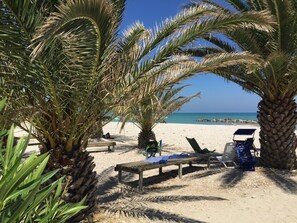 Ein Strand mit Palmen, einer Holzbank und einem Stuhl.
