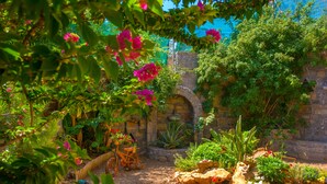 Un jardin avec un mur de pierre, différentes plantes et un vélo.