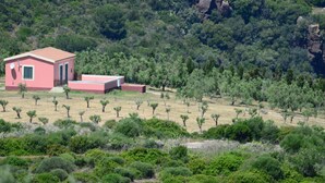 Ein rosafarbenes Gebäude mit rotem Dach, umgeben von einem trockenen, grasbewachsenen Feld mit vereinzelten Bäumen und einem dichten Wald im Hintergrund.