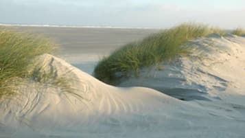 Aurinkotuoleja, rantapyyhkeitä