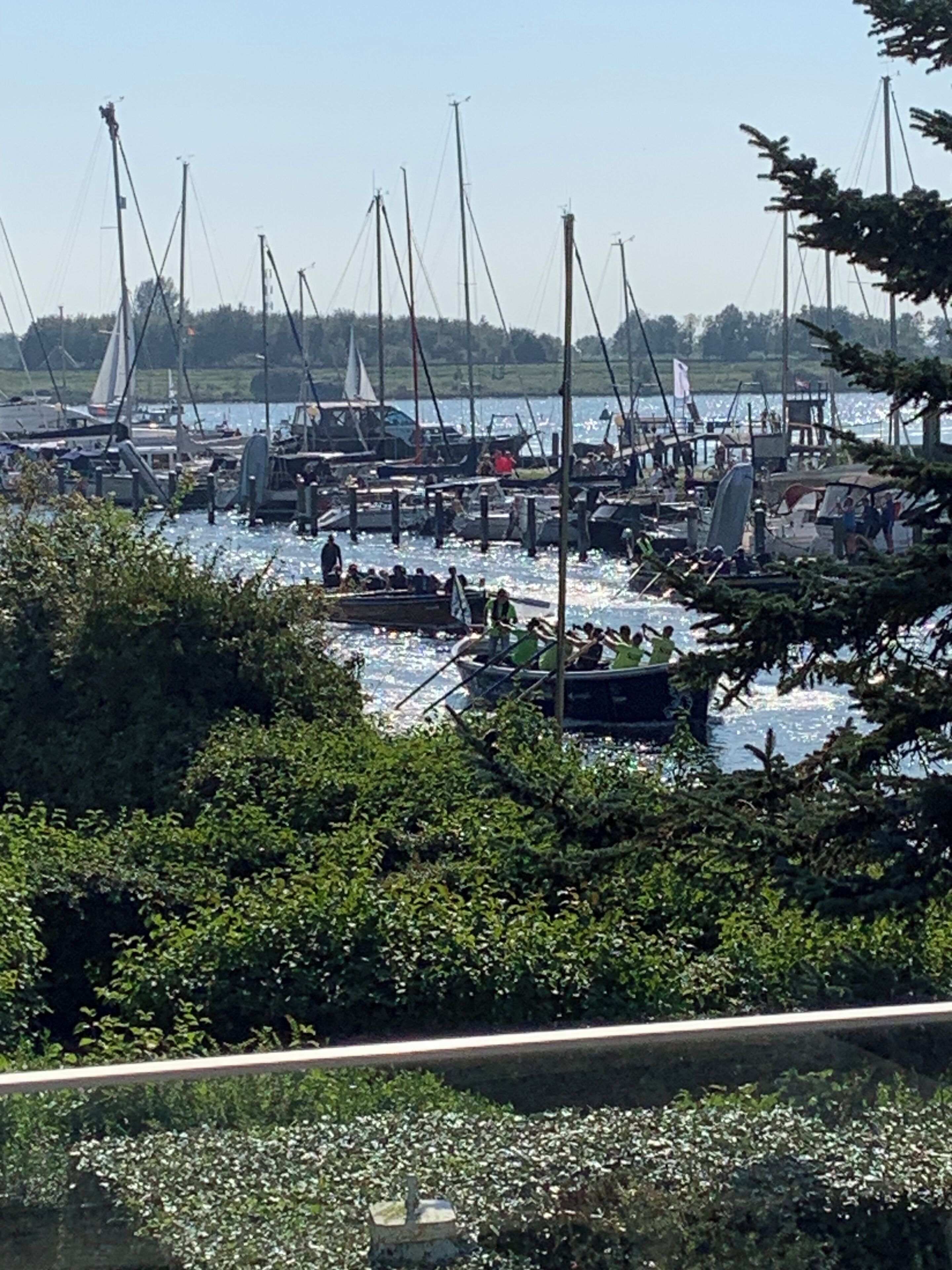 Un port de plaisance où sont amarrés de nombreux voiliers, entouré d’une végétation luxuriante.