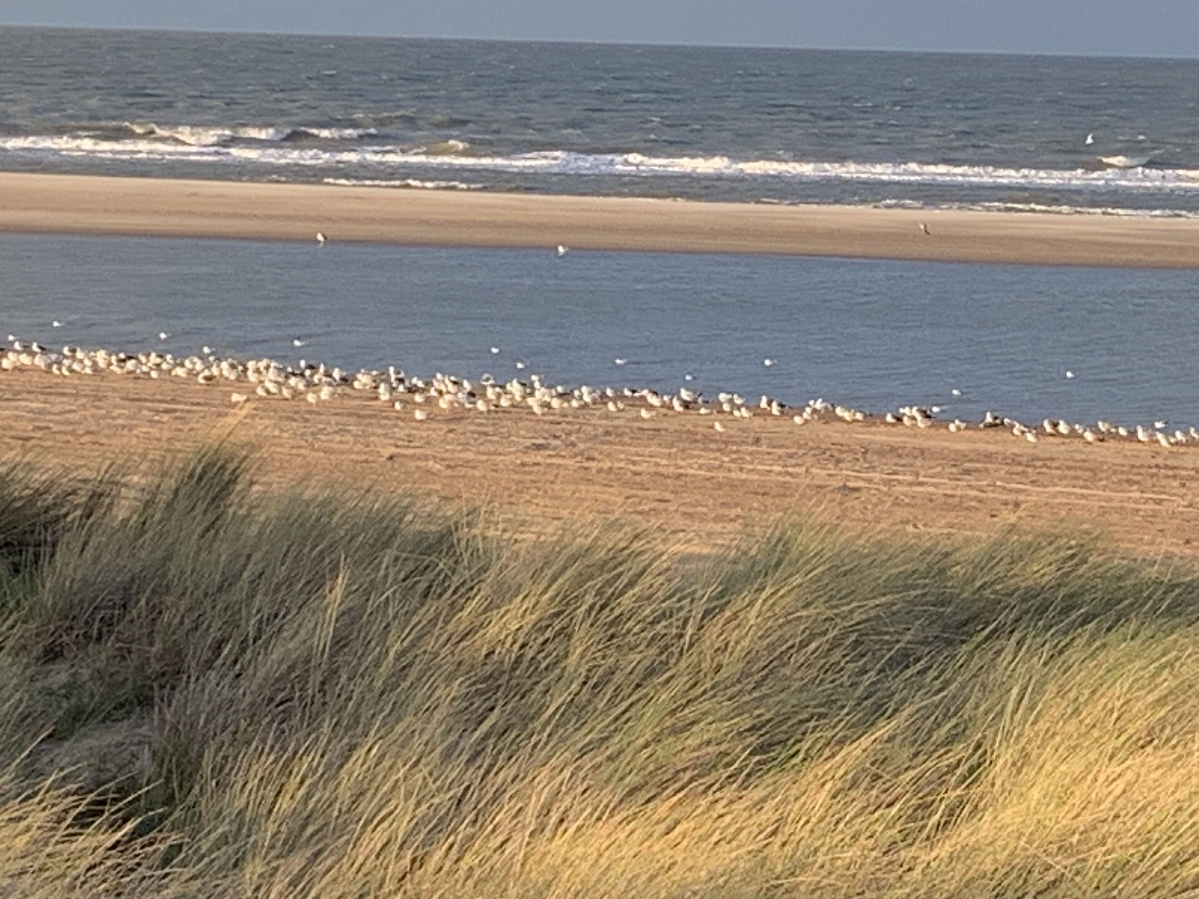 Ligstoelen aan het strand, strandlakens