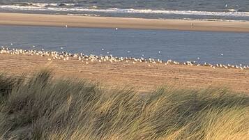 Ligstoelen aan het strand, strandlakens