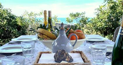 Paljon rakasti merenrannan vuokra-asuntoa 8/10 upeaan koskemattomaan Toscanaan.