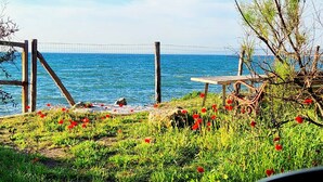 Blick auf die Küste mit Holzfence, einem Tisch und roten Klatschmohn im Vordergrund.