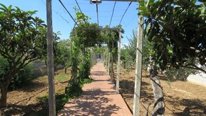 Ein Baumlehrpfad mit einer Pergola.