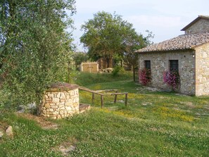 Property grounds - Podere dell'Olmo charming countryhouse  close to Rome, Spoleto, Perugia (Amelia)