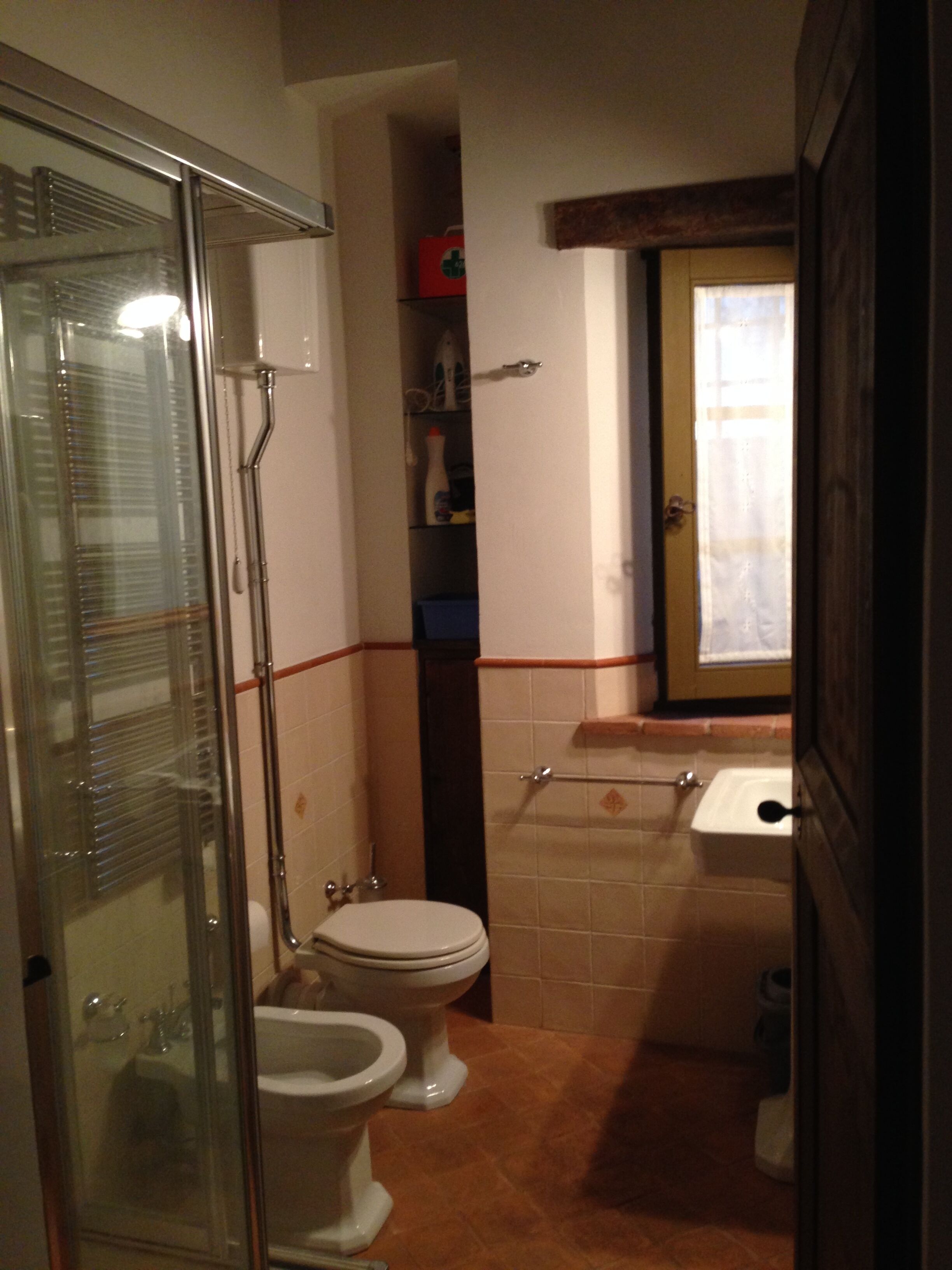 A bathroom with a glass shower enclosure, two toilets, a sink, and a towel rack.