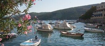 Tranquility of countryside 500m from the city center and 4km from the sea