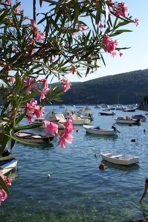 A marina with boats docked and a person in the water.