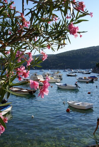 Tranquility of countryside 500m from the city center and 4km from the sea