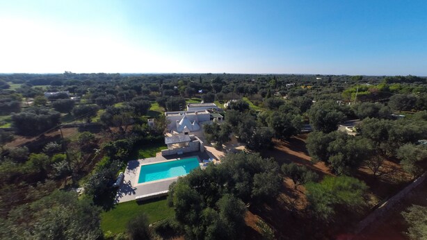 Eine Luftaufnahme eines Anwesens mit Swimmingpool, umgeben von Olivenbäumen und blauem Himmel.