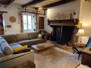 Televisión, chimenea, reproductor de DVD, libros