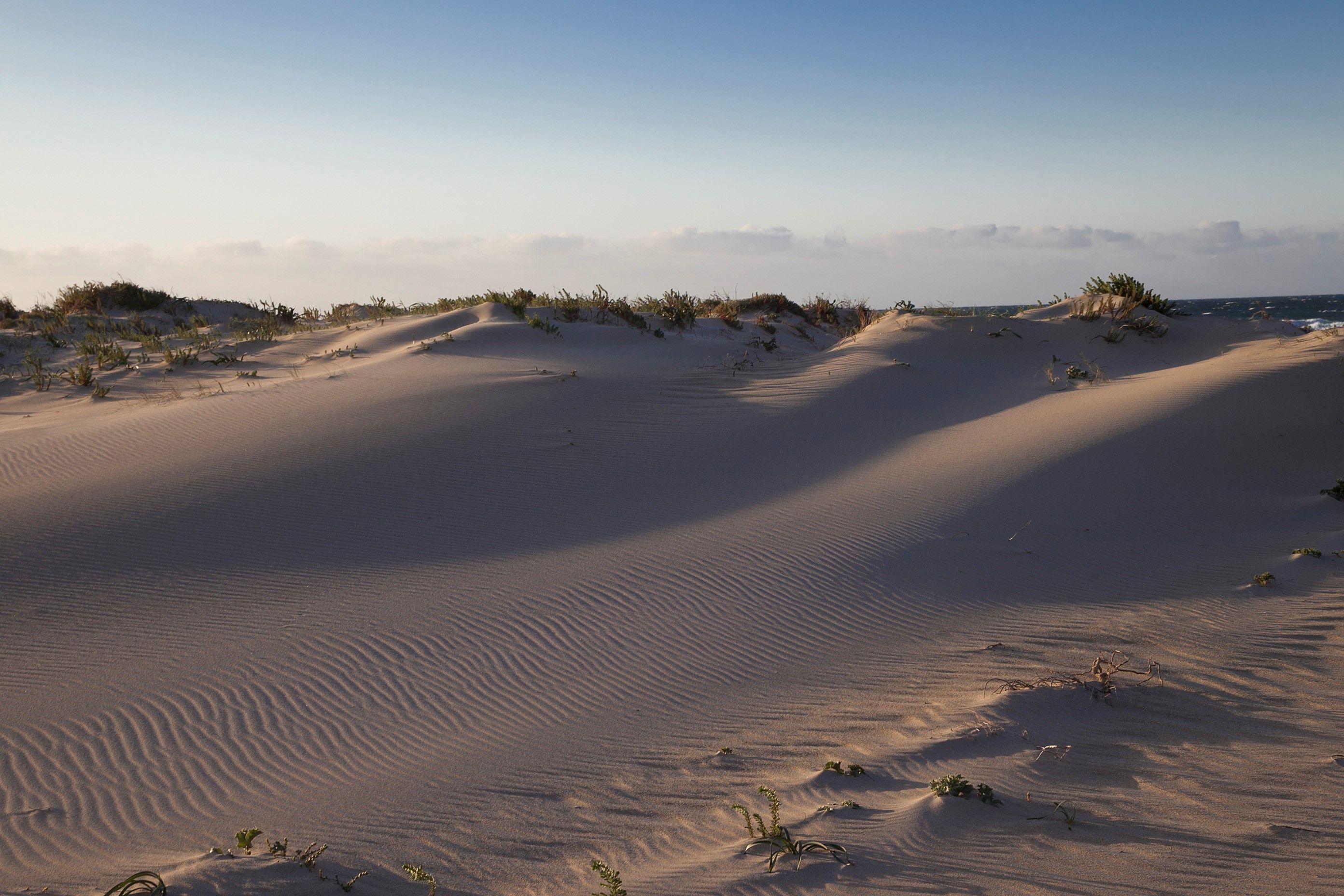Et ørkenlandskab med sandklitter og sparsom vegetation.