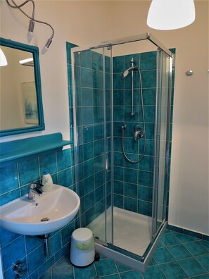 Shower, hair dryer, bidet, towels