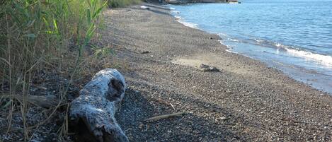 Playa en los alrededores y camastros
